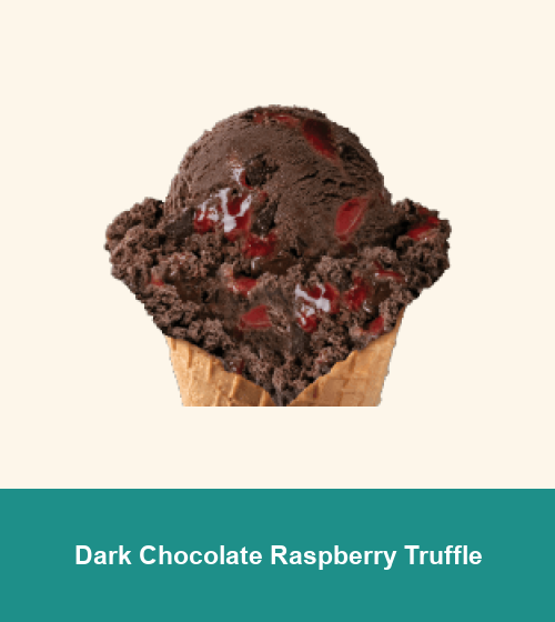 Dark Chocolate Raspberry Truffle
